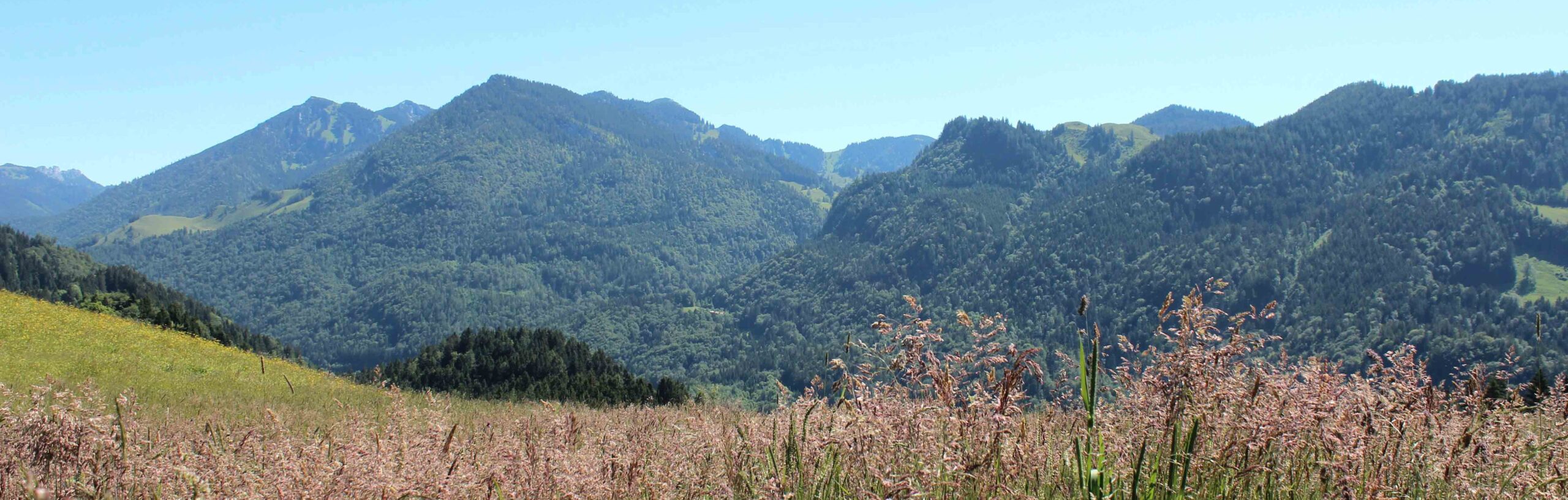 Weite Landschaft mit Blick auf die Chiemgauer Berge rund um das Mountain Retreat Center